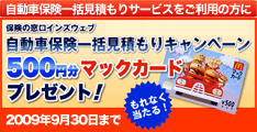 �T�C�g�u�C���Y�E�F�u���ی��ꊇ���ς���v