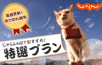 �T�C�g�u������net���h���\��v