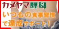 �T�C�g�u�J�����}�y�ꁟ���i�w���v