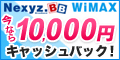 �T�C�g�u���������� �J�݃L�����y�[���v