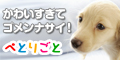 �T�C�g�u�؂Ƃ育�� �v