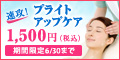 �T�C�g�u�y200%�Ҍ��z�V�[�{���D�w�p���t�������P�A�̌��x�v