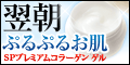 �T�C�g�uSP�v���~�A���R���[�Q�� �Q���v