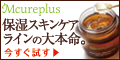 �T�C�g�u�y100%�Ҍ��z�y���c���y�z�G���L���A�v���X�������Z�b�g�v