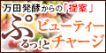 �T�C�g�u�y100%�Ҍ��z�y���c���y�z�G���L���A�v���X�r���[�e�B�[���[�v