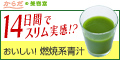�y100%�Ҍ��z���炾�̐`