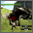 [�A�C�R��]�Q�[��