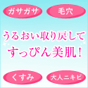 ���C�X�t�H�[�X�@�[�w�ێ��g���C�A���L�b�g