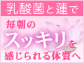 �T�C�g�u�֔�E�ԕ��ǂɁw�@�̂�����x�����i�w���v