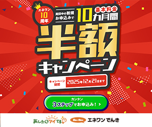 エネワンでんき公式サイト